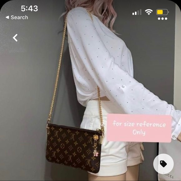 Louis Vuitton Neverfull Pouch / Pochette - Picture 9 of 10